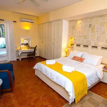 Sunny * Αργοστόλι